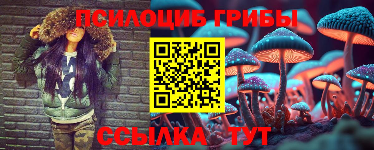 закладки  Вход с VPN  Псилоцибиновые грибы Psilocybe  Пенза  Галлюциногенные грибы мухоморы 