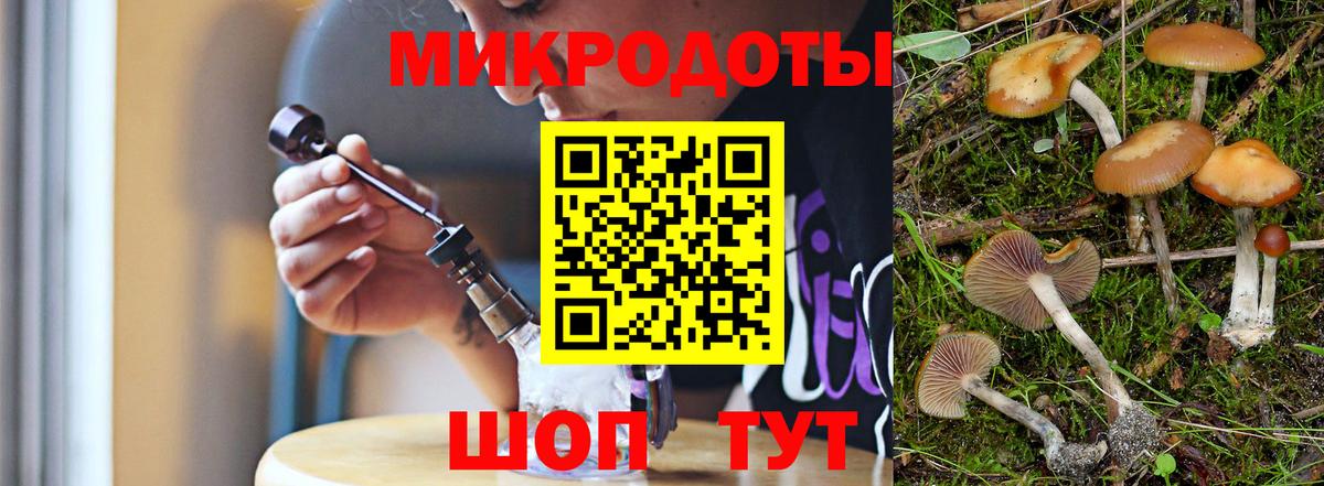 Псилоцибиновые грибы ЛСД Пенза