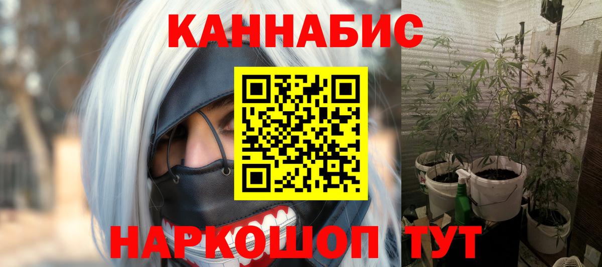 МАРИХУАНА сатива Пенза